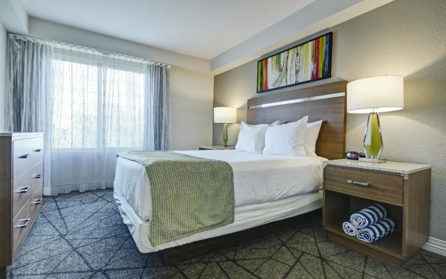 1 Bedroom Suite
