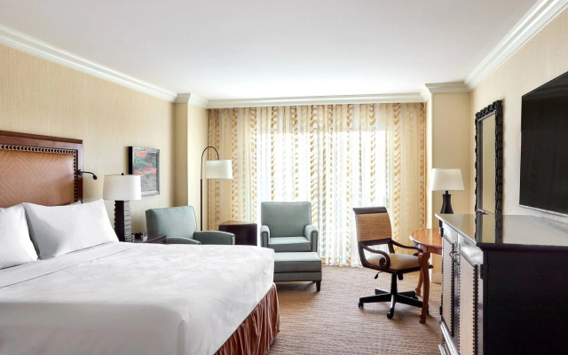 Standard Double room with balcony and with garden view