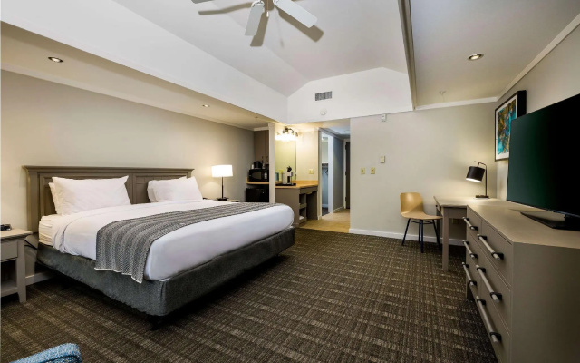 Standard Double room with mountain view