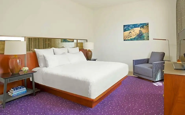 1 Bedroom Deluxe Double Suite with city view
