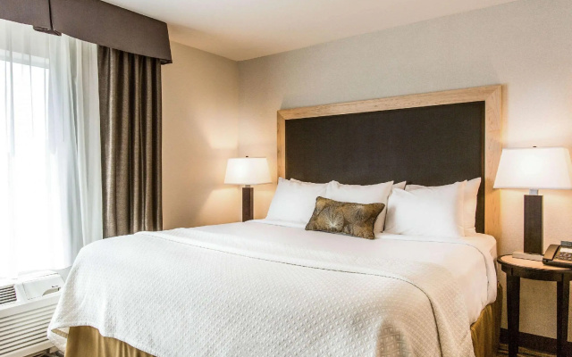 Superior room with city view