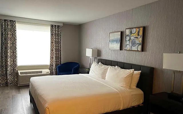 1 Bedroom Double Suite