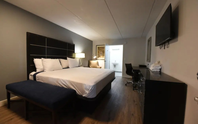 Economy Suite