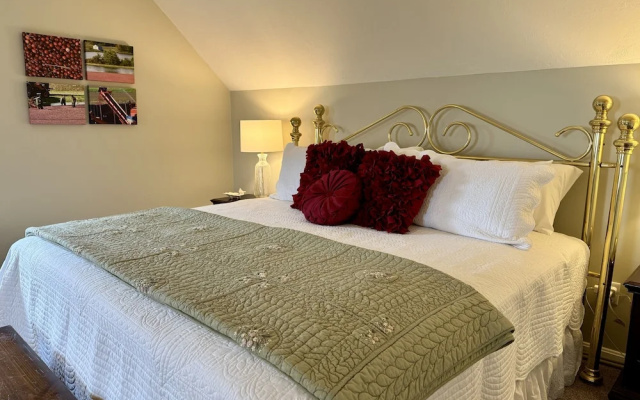 Premium Suite