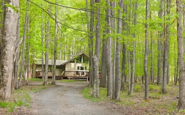 Cottage