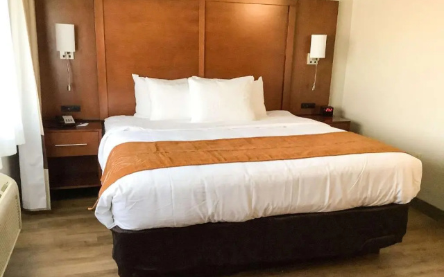 1 Bedroom Double Suite