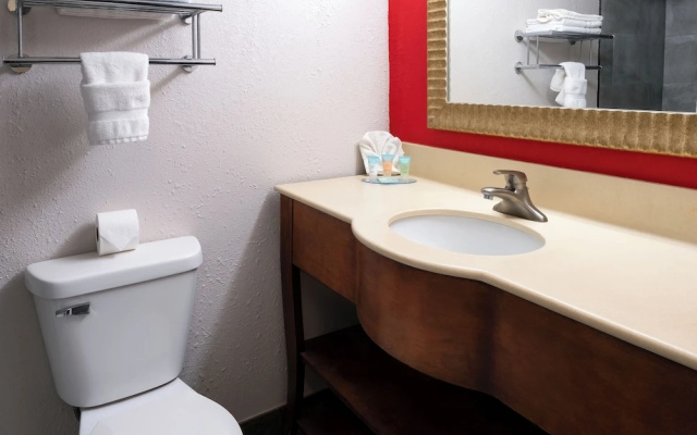 1 Bedroom Quadruple Suite