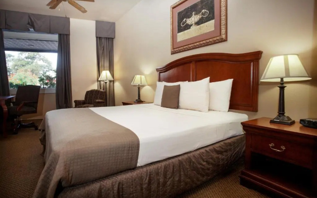 Standard room with city view