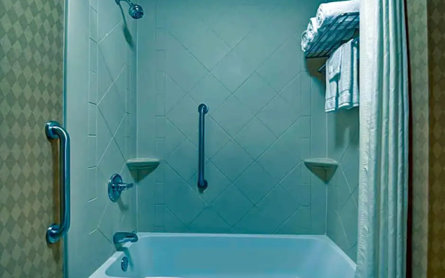 1 Bedroom Suite