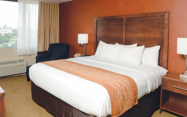 Standard room with river view