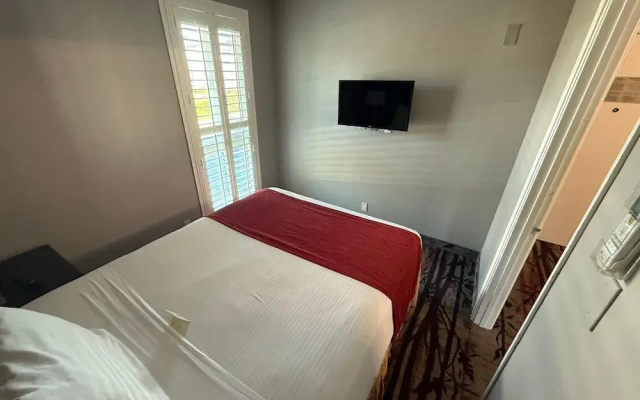 Business Double Suite