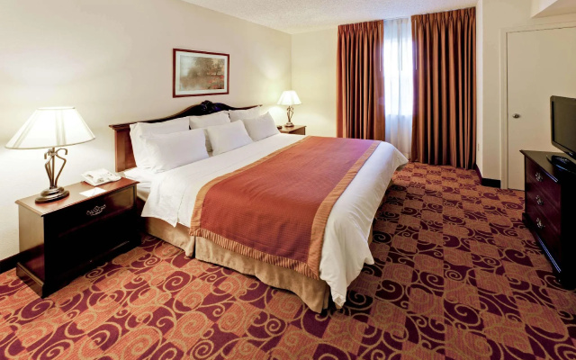 1 Bedroom Double Suite