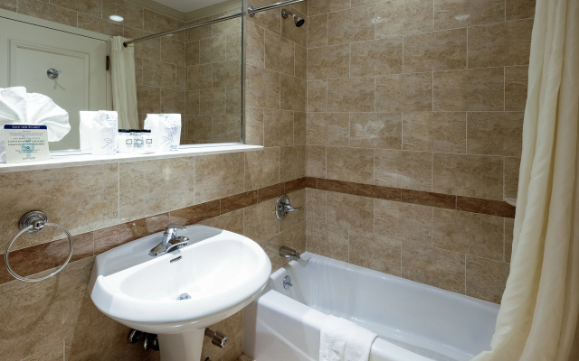 1 Bedroom Suite
