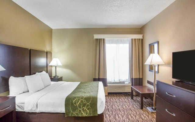 1 Bedroom Double Suite