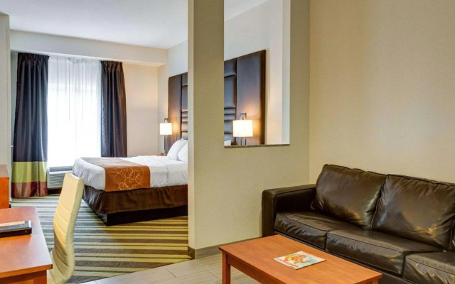 1 Bedroom Suite