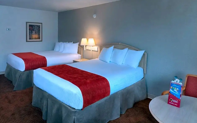 Quadruple room with pool view