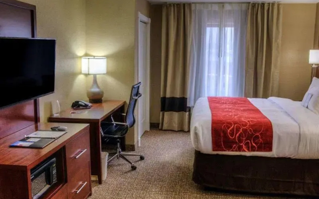 Quadruple Suite