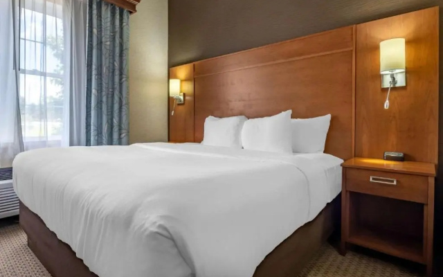 Standard Suite