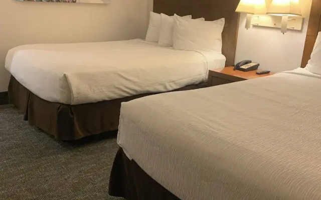 Standard Quadruple room with balcony