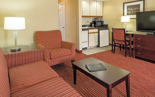 1 Bedroom Apartment