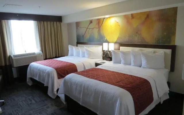 1 Bedroom Low Floor Double Suite