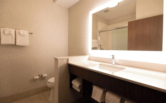 1 Bedroom Suite