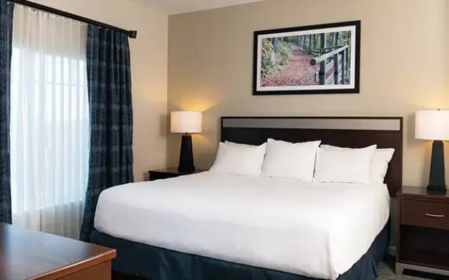 1 Bedroom Suite