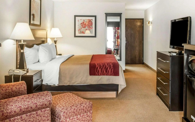 1 Bedroom Suite