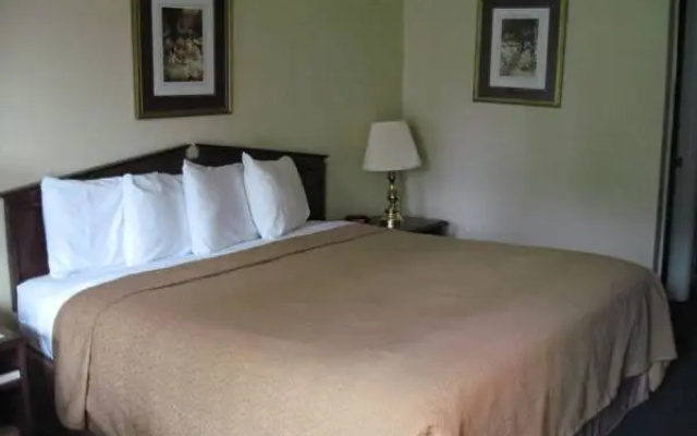 Bed in Dorm