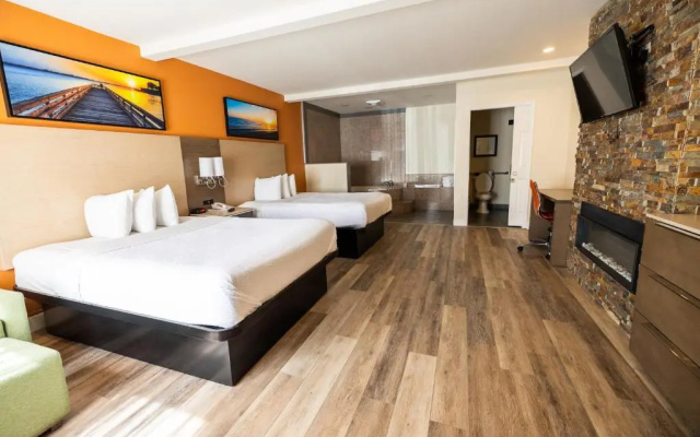 Quadruple Studio Suite