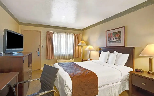 1 Bedroom Double Suite