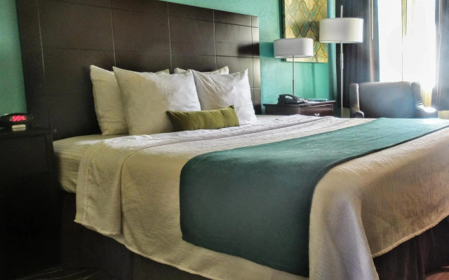 Standard room with view