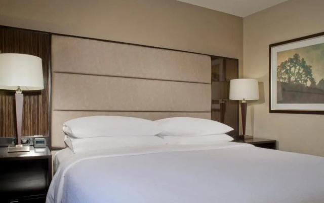 1 Bedroom Double Accessible Suite