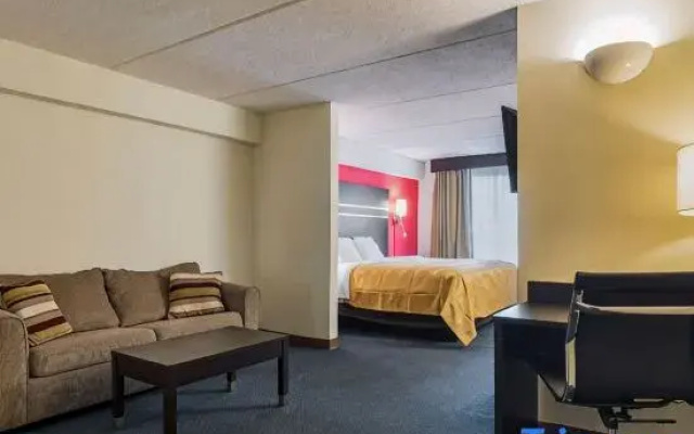 Suite