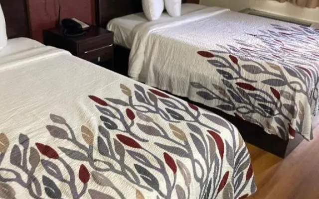 Economy room