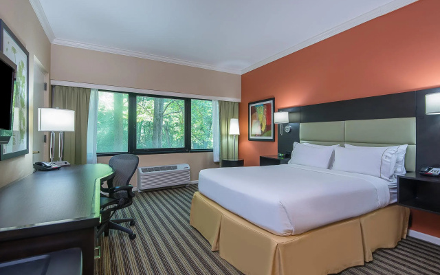 1 Bedroom Standard room