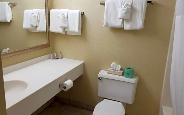 Superior Double room with mountain view