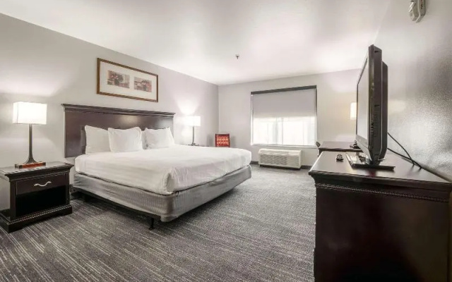 Suite with city view