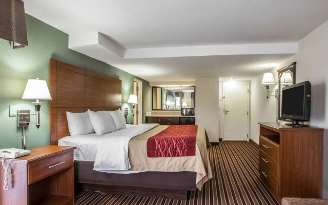 1 Bedroom Double Suite