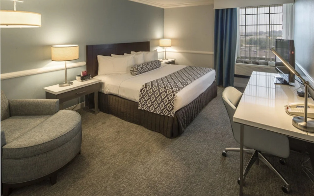 1 Bedroom Suite
