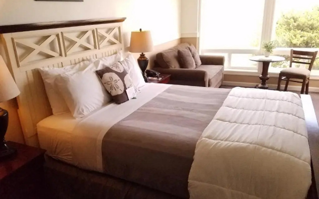 Standard Double room with ocean view