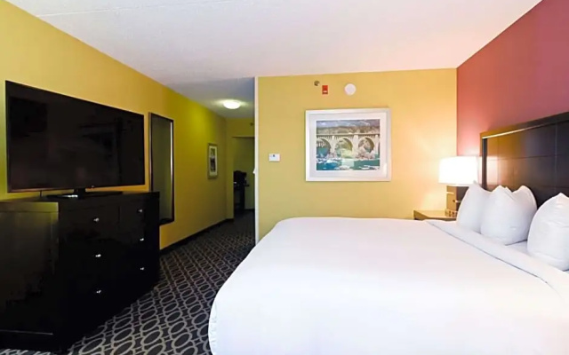 1 Bedroom Suite