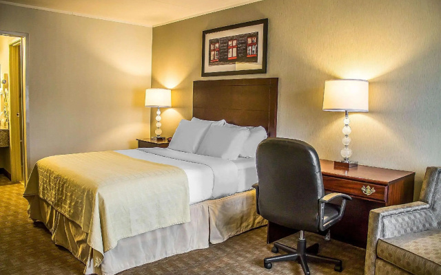 1 Bedroom Standard Double room