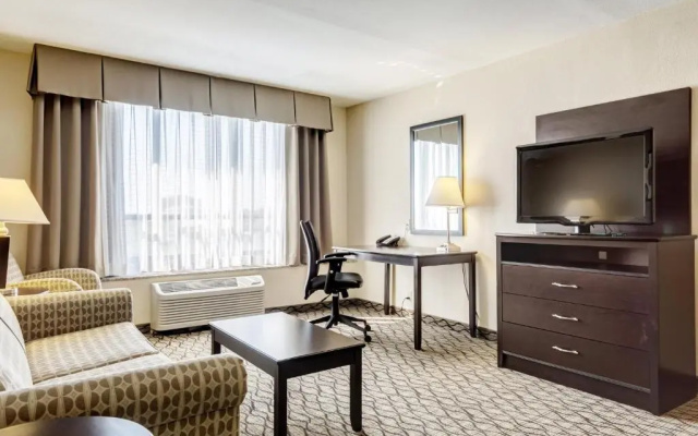 Suite