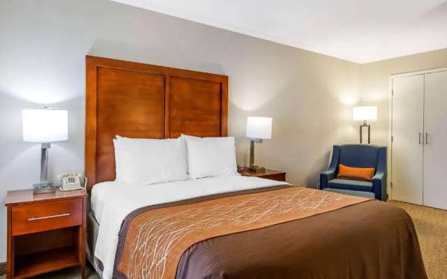 Standard Double room with courtyard view