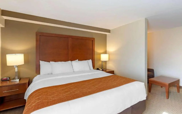 1 Bedroom Suite