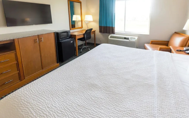 Pet Friendly Double room