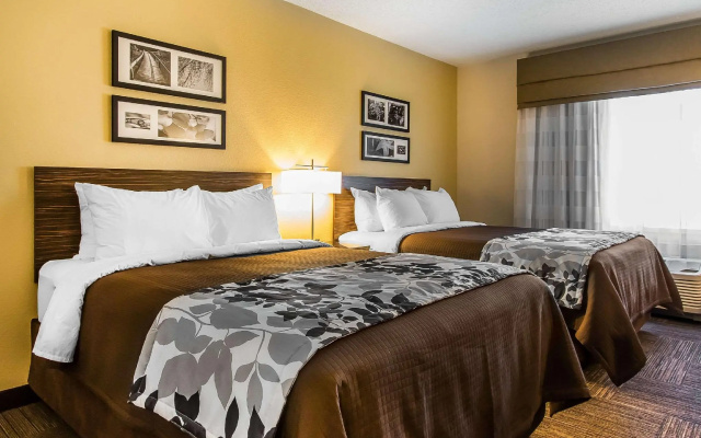 Quadruple Suite