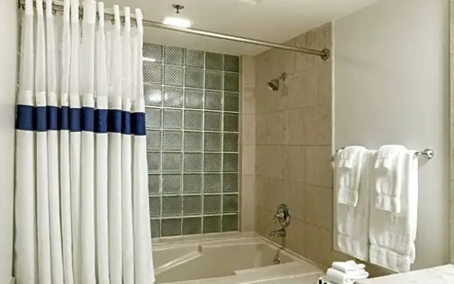 Premium Suite