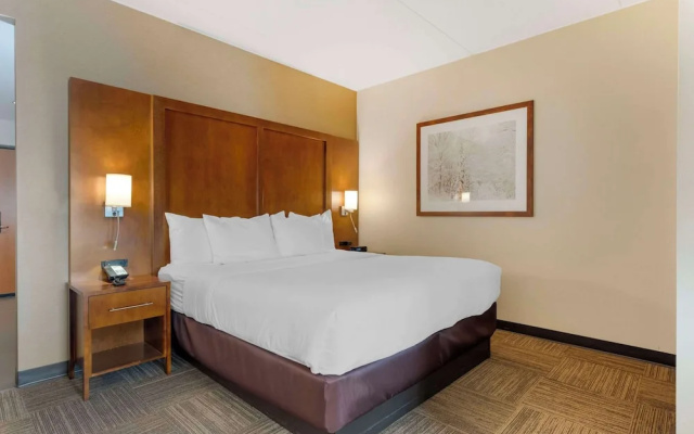 Deluxe Suite with lake view